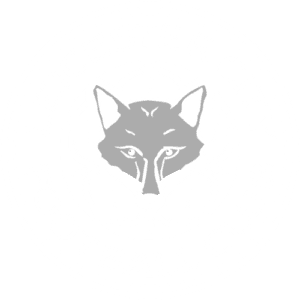 lcfc-logo-png