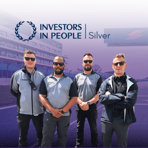 silver-2